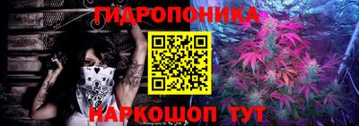 индика Пушкино