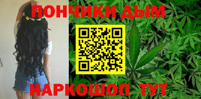 индика Пушкино