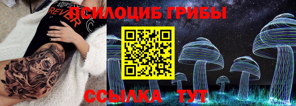 Псилоцибиновые грибы GOLDEN TEACHER Ревда