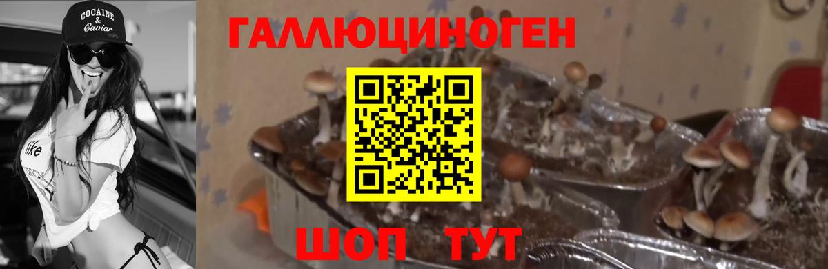 Галлюциногенные грибы ЛСД  Вход с VPN  Ревда 